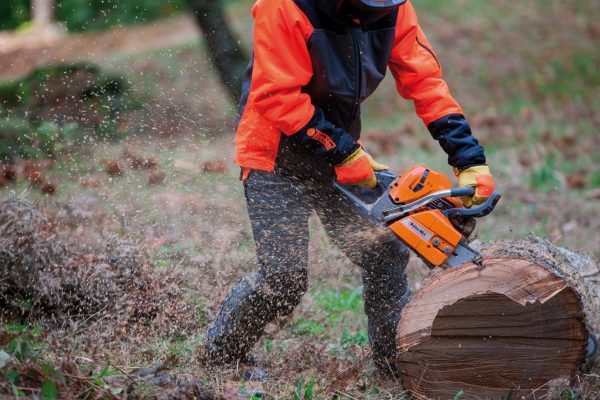 Chainsaw working